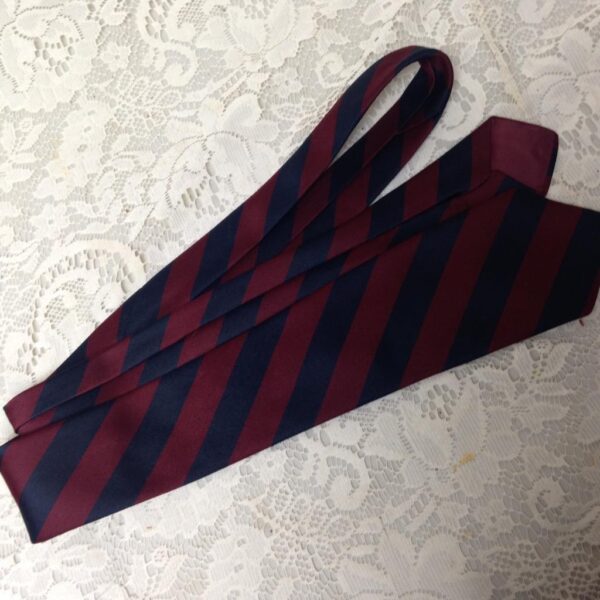 Beautiful, Giovanni Blue and Burgundy Stripes Neck Tie 58in x 3.5in