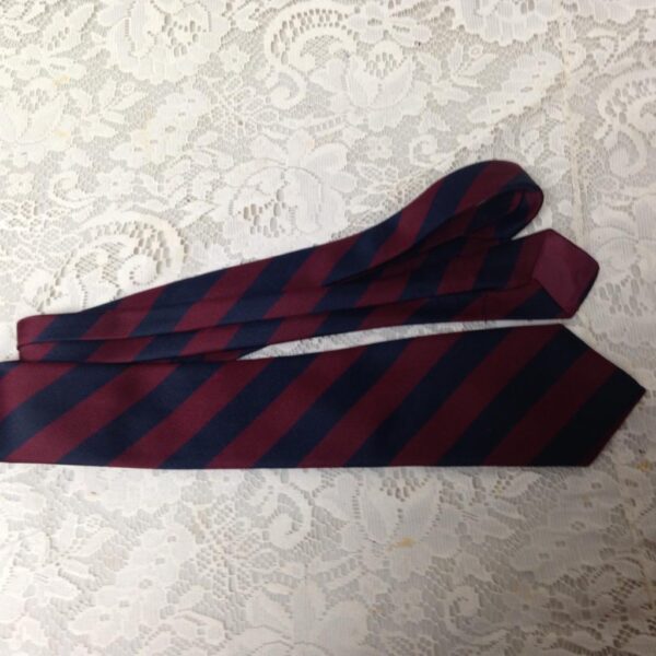 Beautiful, Giovanni Blue and Burgundy Stripes Neck Tie 58in x 3.5in