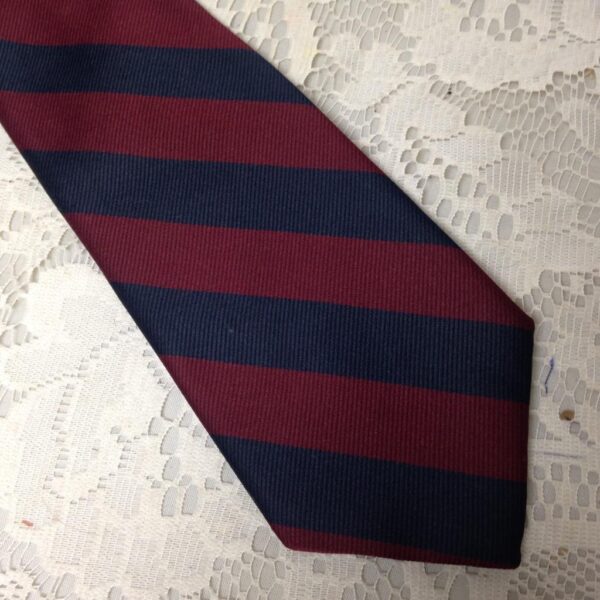 Beautiful, Giovanni Blue and Burgundy Stripes Neck Tie 58in x 3.5in