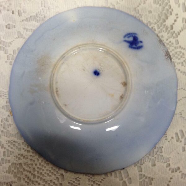 Vintage, Rare, Flow Blue Cup and Saucer