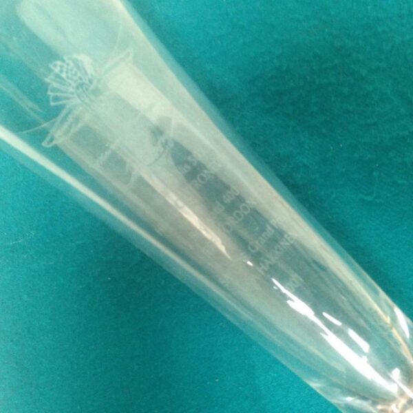 2001Tiffany Etched Glass-Indianapolis Motor Speedway Castroneves-Gordon-Hakkinen