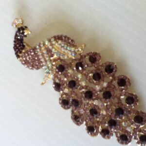 Stunning, 5in x 2in Peacock Amethyst Rhinestones Brooch-Pendant