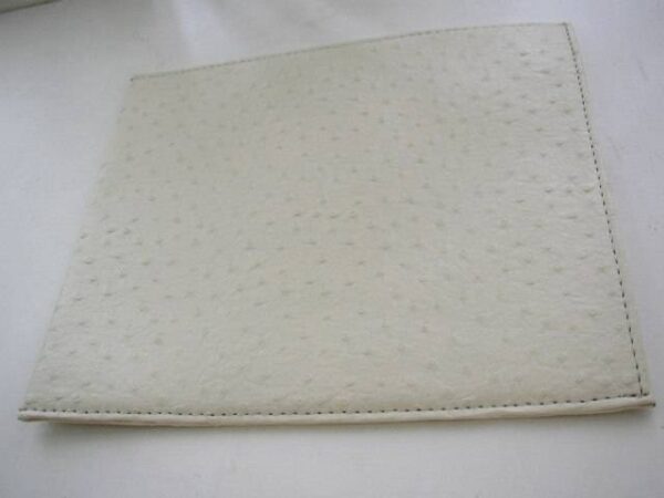 Beige Faux Ostrich Leather Ipad-Tablet 10in x 8.5in Protective Case