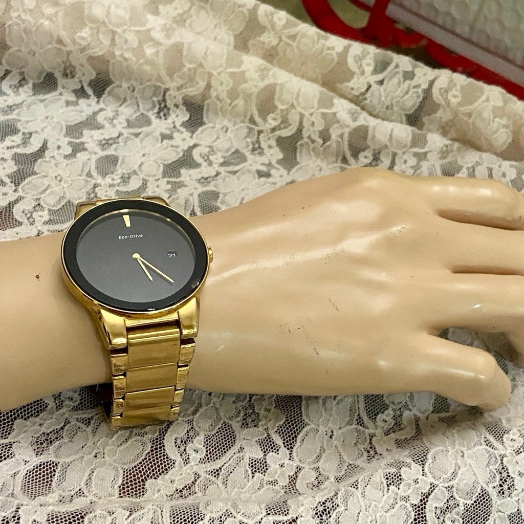 Citizen, Eco Drive, Pulse Powered, Water Resistant Gold Men’s Watch